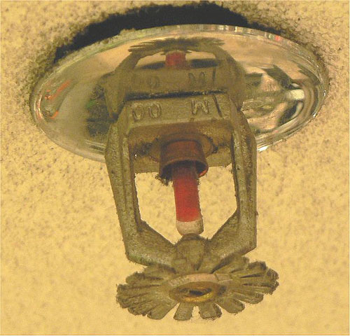 A fire sprinkler head