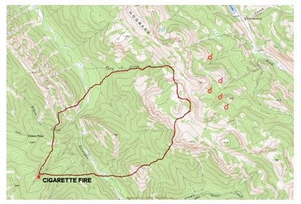 Wildfire: Wildland Fire Simulation: An Improvised Software Solution