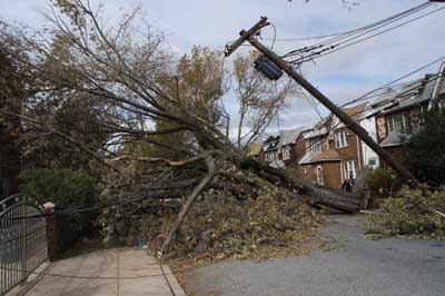 (4) Down pole-mounted transformers, live electrical wires, and massive tree stumps and branches posed electrocution, hazardous material, and response dangers.