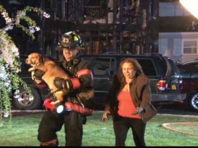 (17) When firefighters reunited the family dog with its family members, the latter went from crying on the street corner to celebrating a happy reunion.