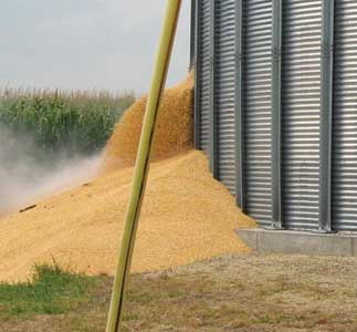 The grain piling under the cuts.