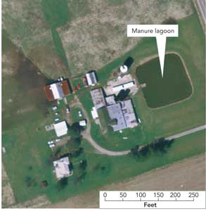 aerial view of a dairy operation showing the associate manure storage lagoon