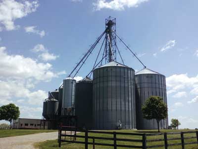 An on-farm, grain-drying and storage complex with several large-capacity grain bins  