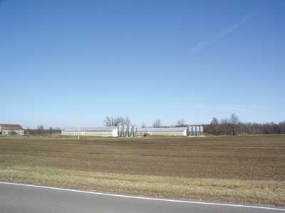 Feed hoppers are evident in this high-capacity hog barn operation