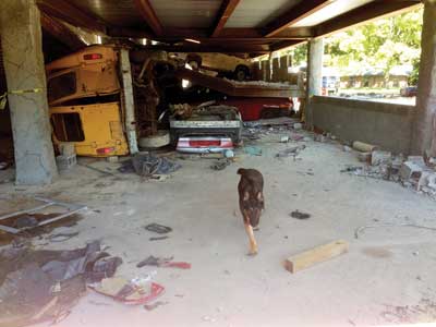 (2) A canine search underway at the parking garage collapse.