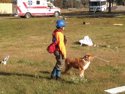 (4) The Division 4 canine search team working a housing district devastated by the simulated EF3 tornado.