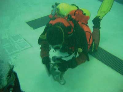 International Association of Dive Rescue Specialists watermanship test