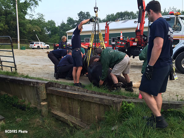 Howard County (MD) Department of Fire and Rescue undertake the rescue of a horse that fell in a ditch.