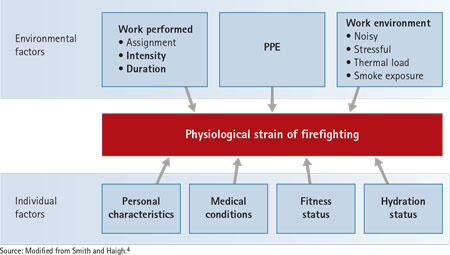 Figure 1. Factors Influencing Responses to Firefighting