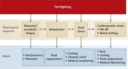 Figure 2. Mechanisms by Which Rehabilitation Mitigates the Physiological Strain of Firefighting