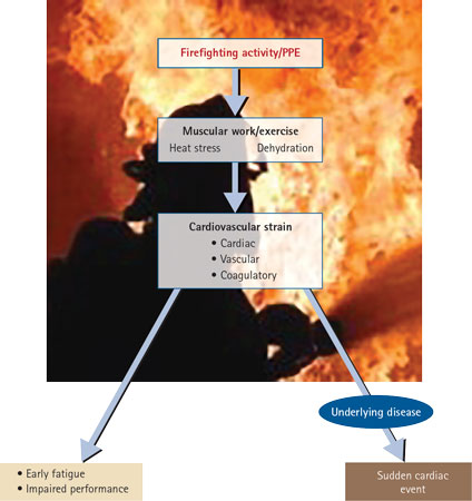 Figure 1. Firefighting and Cardiovascular Strain 