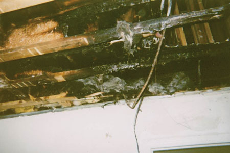 (5) Lightweight wood I-beams. These wood I-beams burned away before the fire department arrived-sawdust and glue held together by two chopsticks.