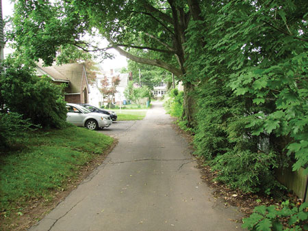 (2) The view from the house to the street. The house is 400 feet from the street entrance.