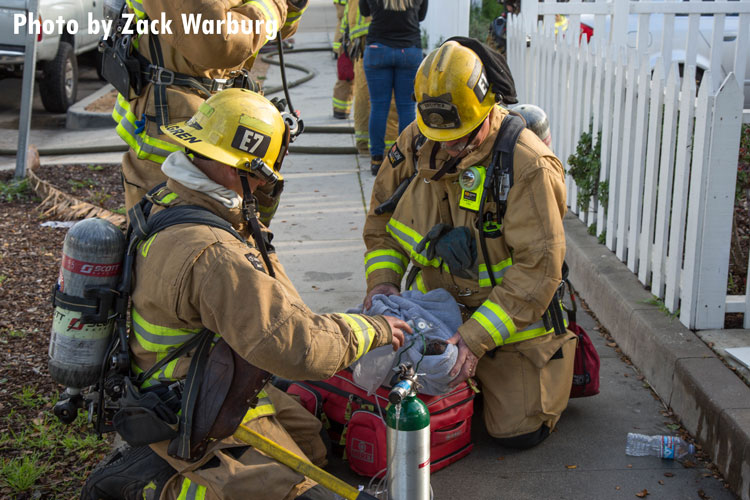 Firefighters treat a cat injured at the scene of a structure fire in Santa Barbara.