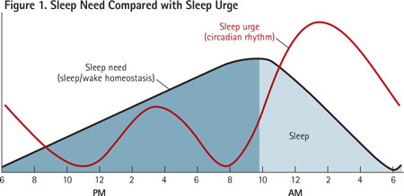 The black line depicts sleep need, which rises through the waking hours and decreases during sleep. The red line depicts a normal circadian rhythm wherein sleep urge is greatest at night; there is also a slighter increase at midday (post-lunch dip).