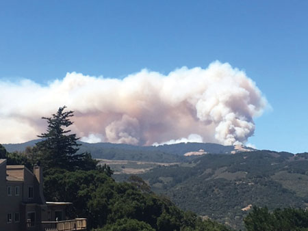 (1) The Soberanes Fire on its second day. (Photos by author.)