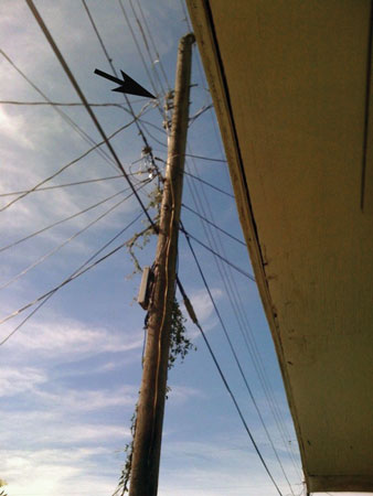 (9) The arrow indicates where the Romex™ cable is hooked over a 110-volt wire to steal electricity from the power company. 