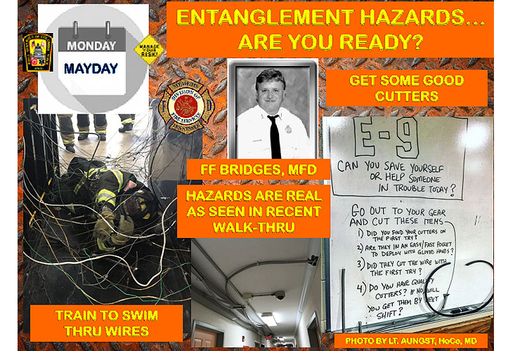 Entanglement hazards