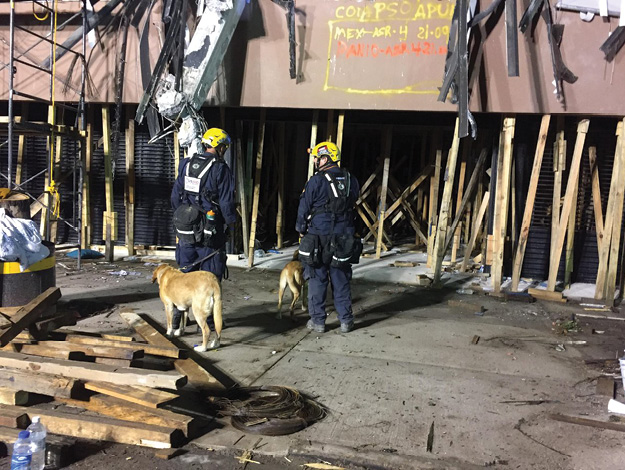 (6) USA-2 members conducting follow-up search operations at the Mexico City earthquake. ﻿(Photo courtesy of the L.A. County Fire Department.)