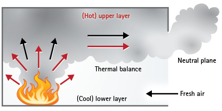 Figure 4. The Intermediate Neutral Plane at the Opening Identifies a Bidirectional Flow Within