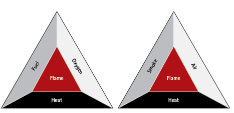 Figure 1. The SAHF “SAFE” Model