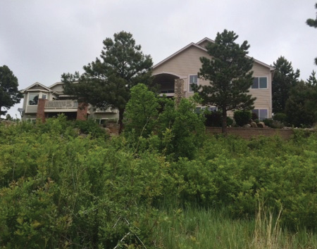 This “After” photo shows the same neighborhood landscape after it had been eaten over by the goats.