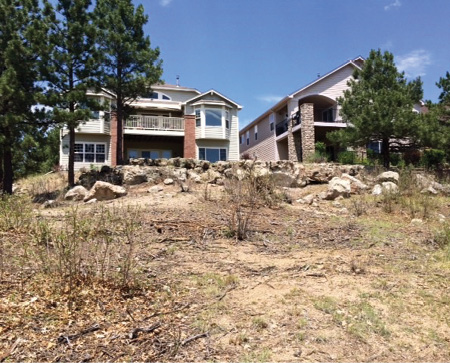 The weeds and brush ran up to the retaining walls of homes in this Colorado neighborhood before being treated by the goats.