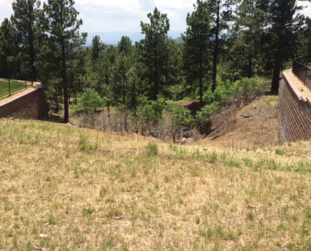 Neighborhood homes were surrounded by brush, weeds, and ladder fuels in this “Before” photo.