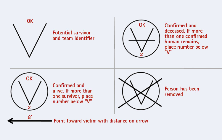 Figure 3. Survivor Markings