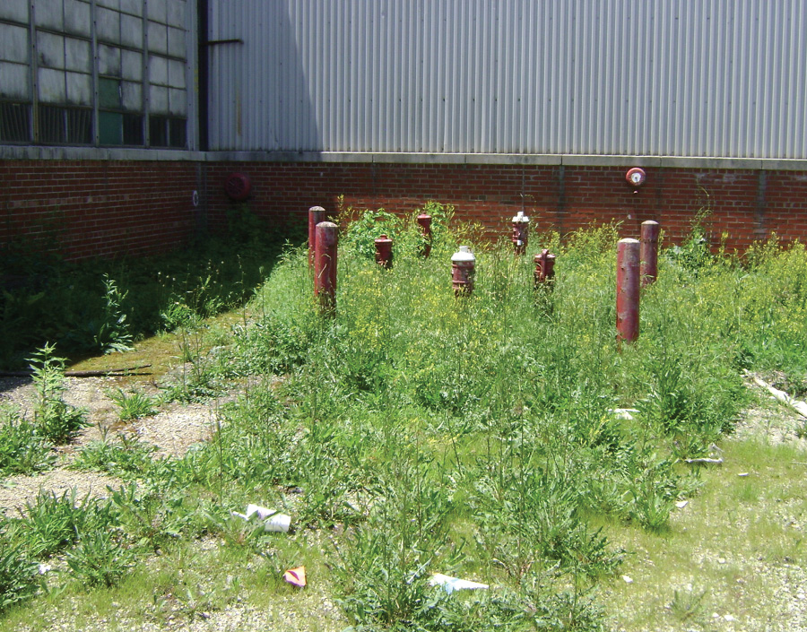 These post-indicator valves, outside of AP-6, controlled the fire protection water supplies for the complex and the building. 