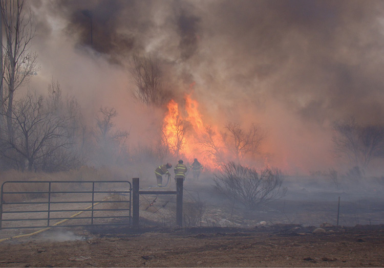 Firefighters prepare to make a direct attack on this wildland fire.