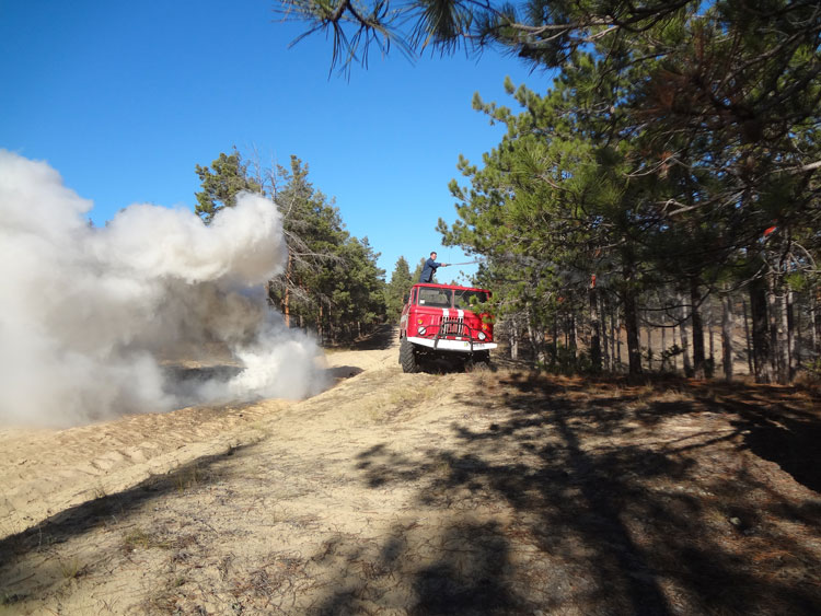 Fire truck among trees