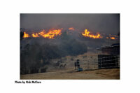 Horses run as flames roar behind them