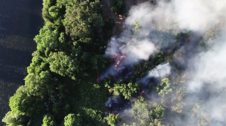 Advanced scouting over a vegetation fire in deep undergrowth along the Sacramento River.