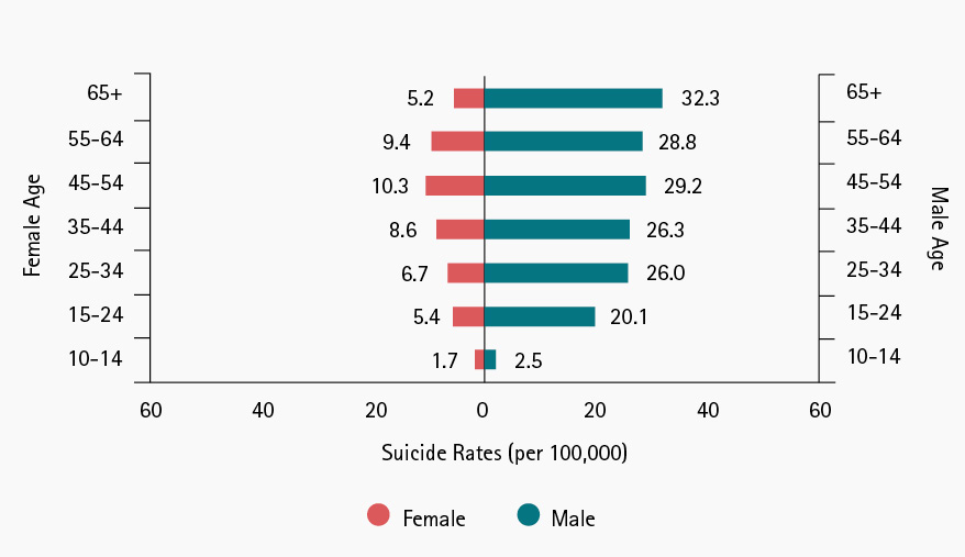 Figure 2. Suicide Rates for Females and Males: 1999-2016 