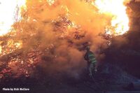 A firefighter advances a hose up a burning hill