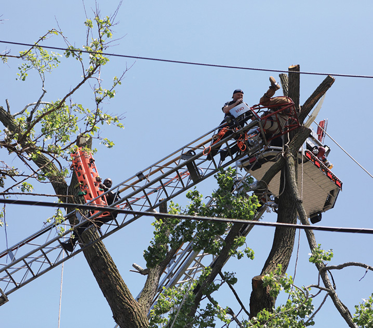 Rescuing a tree trimmer stuck in a tree is just one unusual circumstance you may face that necessitates use of the tower ladder.