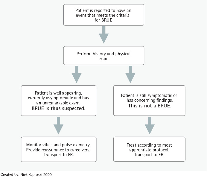 Figure 1. Prehospital BRUE Identification and Treatment