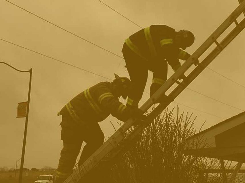 Firefighters on a ladder