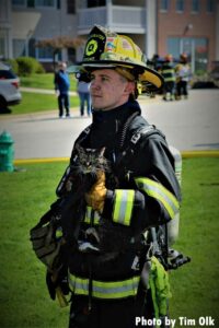 A firefighter holds a kitten