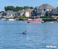 Another view of the prosthesis floating in the water