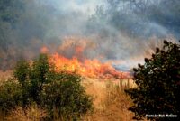 More flames from the Photos: Tujunga Fire