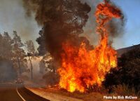 Fire rages near roadside