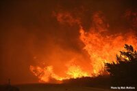 Flames from the Bobcat Fire shoot through brush