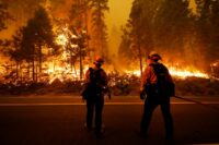 Firefighters stand at site of California wildfire