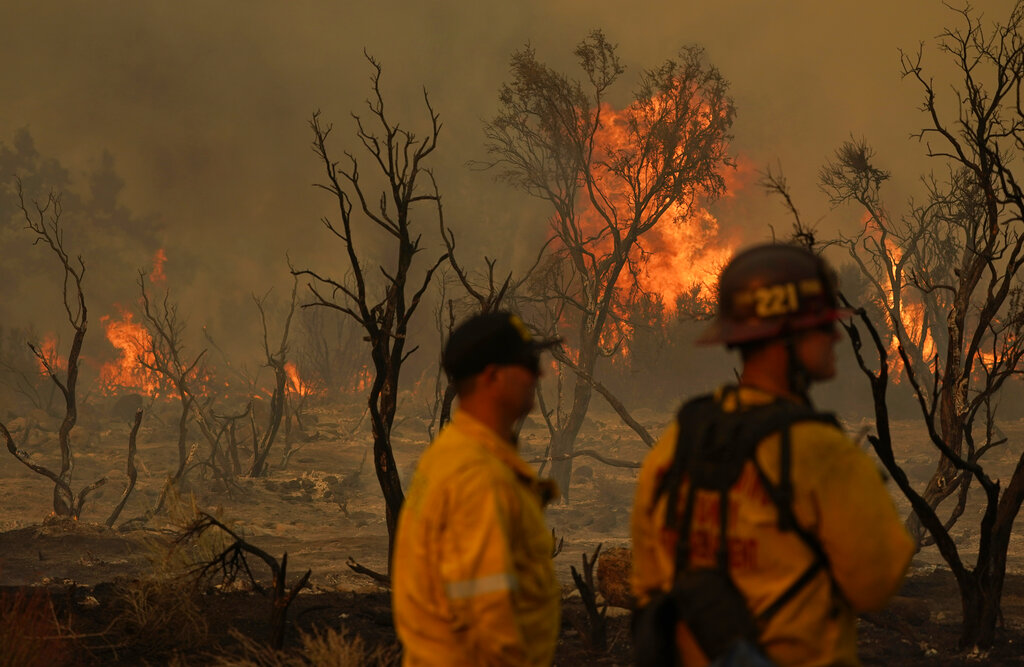 Firefighters at Bobcat Fire