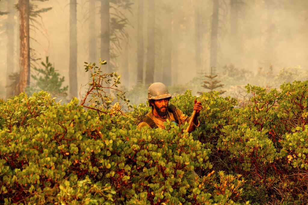 Firefighter Cody Carter battles the North Complex Fire in Plumas National Forest, Calif