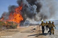 City of Los Angeles firefighters working at a raging vegetation fire