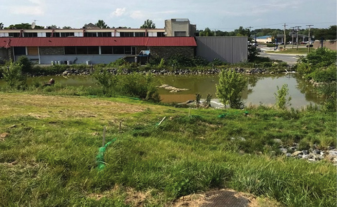 Booming materials were deployed in the stormwater basin to the rear of the complex.