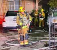 Firefighter removing a dog from a structure fire